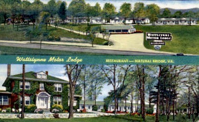 Motor Lodge - Natural Bridge, Virginia VA Postcard