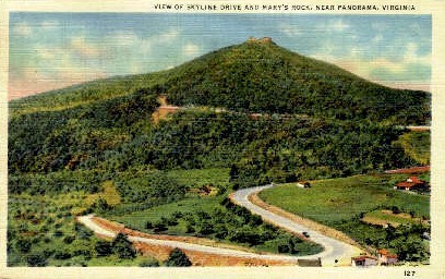 Skyline Drive and Mary's Rock - Panorama, Virginia VA Postcard