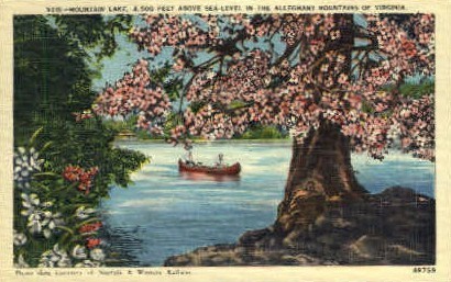Mountain Lake - Misc, Virginia VA Postcard