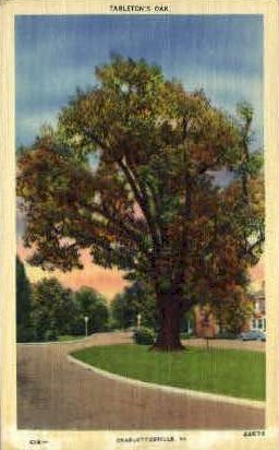 Tarletons Oak - Charlottesville, Virginia VA Postcard