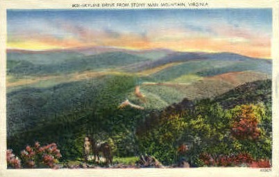 Skyline Dr. - Misc, Virginia VA Postcard