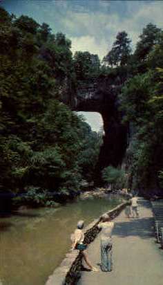 Natural Bridge - Misc, Virginia VA Postcard