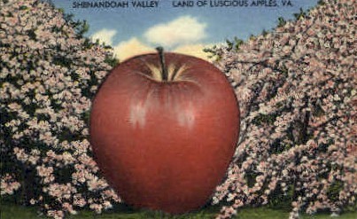 Shenandoah Valley - Misc, Virginia VA Postcard