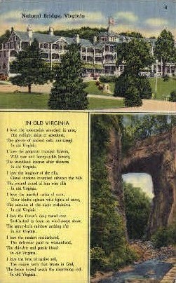 Natural Bridge - Virginia VA Postcard