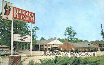 Ramada Inn  - Williamsburg, Virginia VA Postcard
