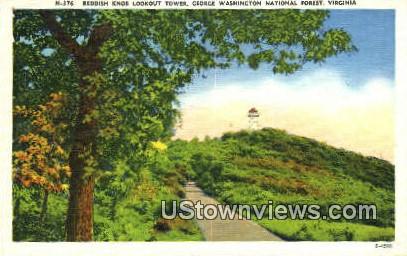 Reddish Knob Lookout Tower  - George Washington National Forest, Virginia VA Postcard