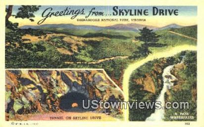 Greetings From - Skyline Drive, Virginia VA Postcard
