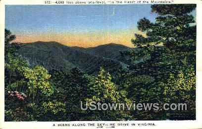Skyline Drive, Virginia, VA, Postcard