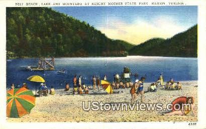 Beach  - Marion, Virginia VA Postcard