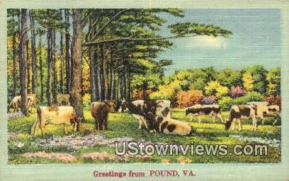 Greetings From  - Pound, Virginia VA Postcard