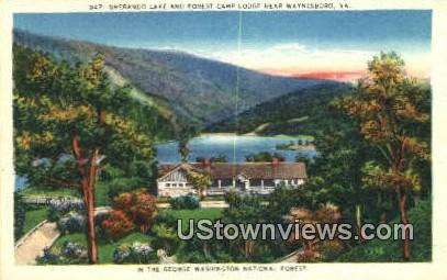 Sherando Lake And Forest Camp  - Waynesboro, Virginia VA Postcard