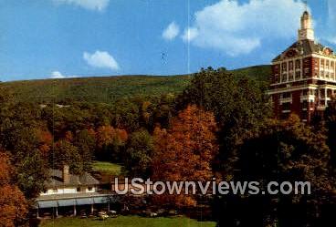 The Homestead  - Hot Springs, Virginia VA Postcard