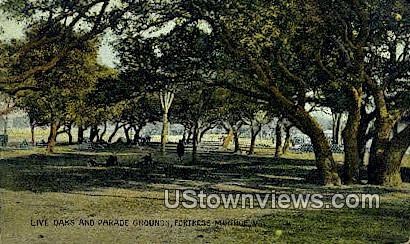 Live Oaks And Parade Grounds  - Fortress Monroe, Virginia VA Postcard