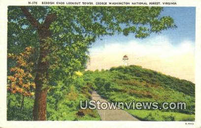 Reddish Knob Lookout Tower  - George Washington National Forest, Virginia VA Postcard