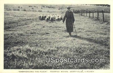 Shepherding the Flock - Berryville, Virginia VA Postcard