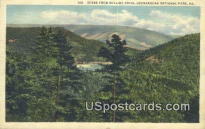 Skyline Drive - Shenandoah National Park, Virginia VA Postcard