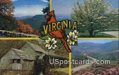 Skyline Drive, VA Postcard       ;         Skyline Drive, Virginia