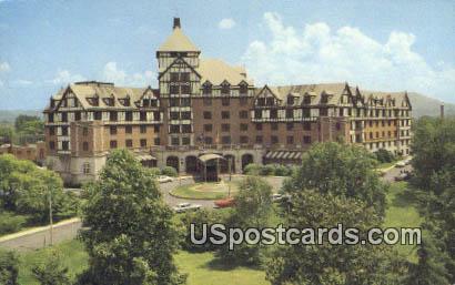 Hotel Roanoke - Virginia VA Postcard