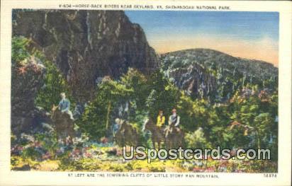 Horse Back Riders - Shenandoah National Park, Virginia VA Postcard