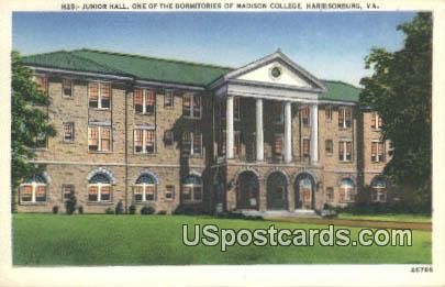 Junior High School - Harrisonburg, Virginia VA Postcard
