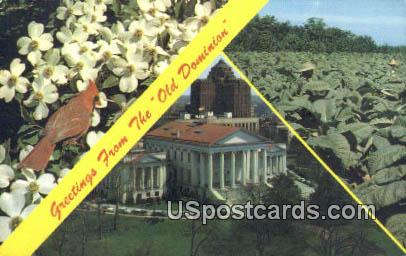 Dogwood - State Flower, Virginia VA Postcard