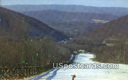 Homestead  - Hot Springs, Virginia VA Postcard