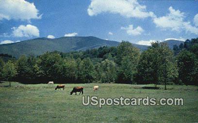 Southwest - Blue Ridge Mountains, Virginia VA Postcard