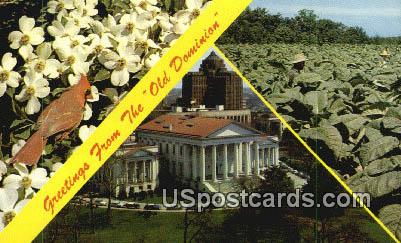 Dogwood - State Flower, Virginia VA Postcard