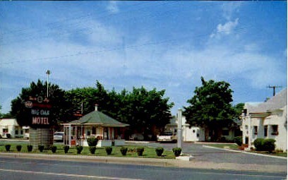 Big Oak Motel - Roanoke, Virginia VA Postcard