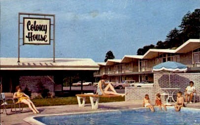 Colony House - Roanoke, Virginia VA Postcard