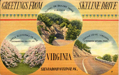 Greetings From - Skyline Drive, Virginia VA Postcard