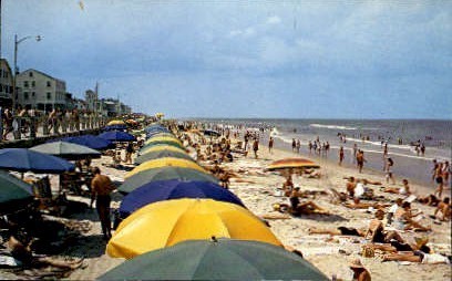 The Surf - Virginia Beach Postcards, Virginia VA Postcard
