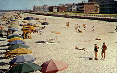 Playground Of The Old Dominion - Virginia Beach Postcards, Virginia VA Postcard