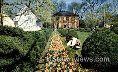 Wythe House Garden  - Williamsburg, Virginia VA Postcard