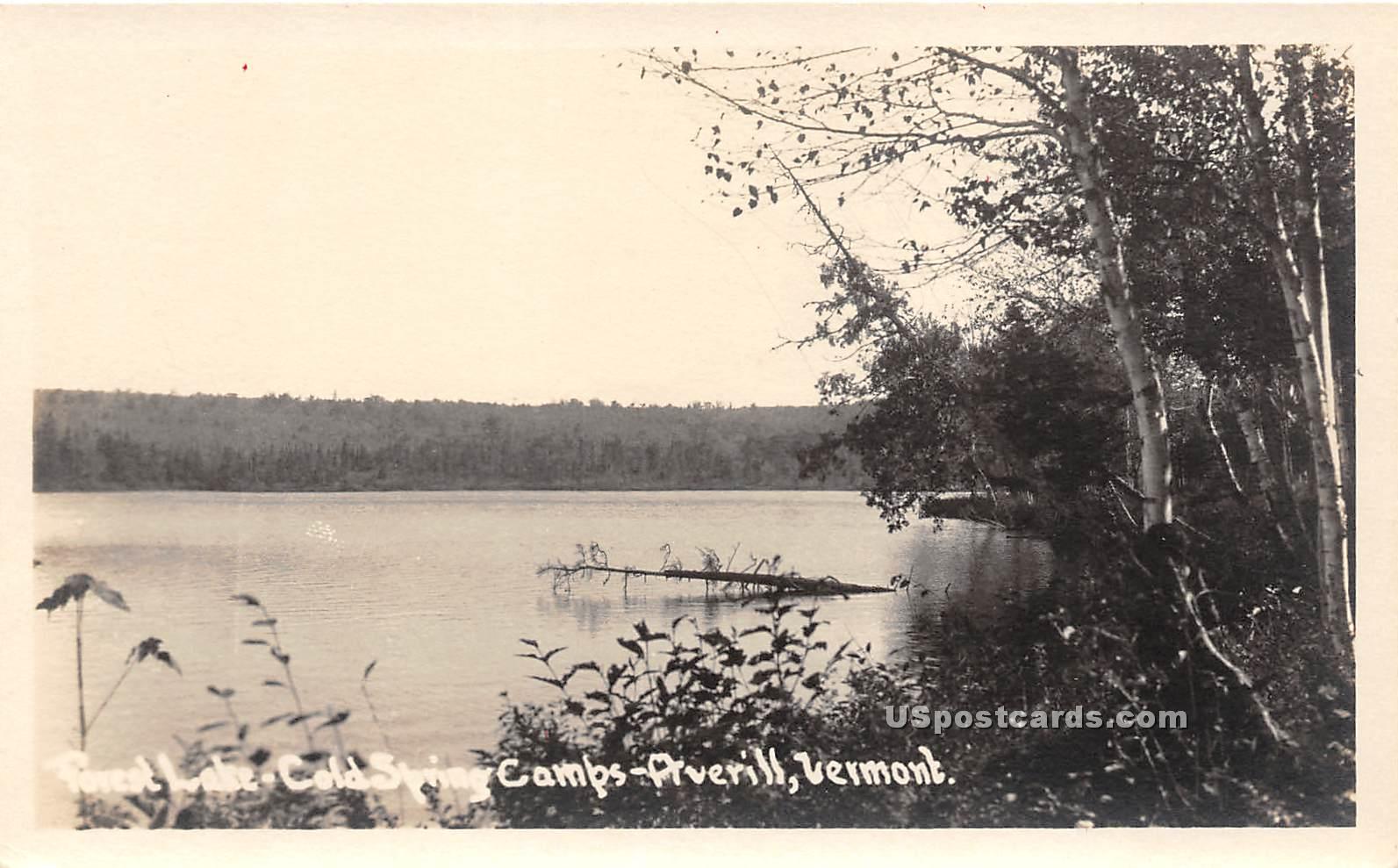 Cold Spring Camps - Averill, Vermont VT Postcard