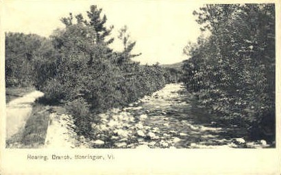 Roaring Branch - Bennington, Vermont VT Postcard