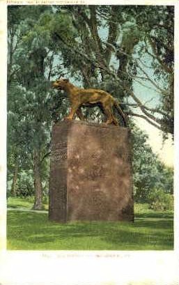 Catamount Monument - Bennington, Vermont VT Postcard