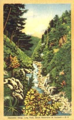 Clarendon Gorge - Green Mountains, Vermont VT Postcard