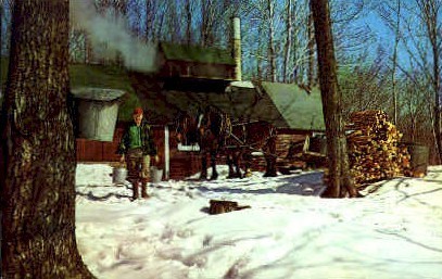 Maple Sugar - Misc, Vermont VT Postcard