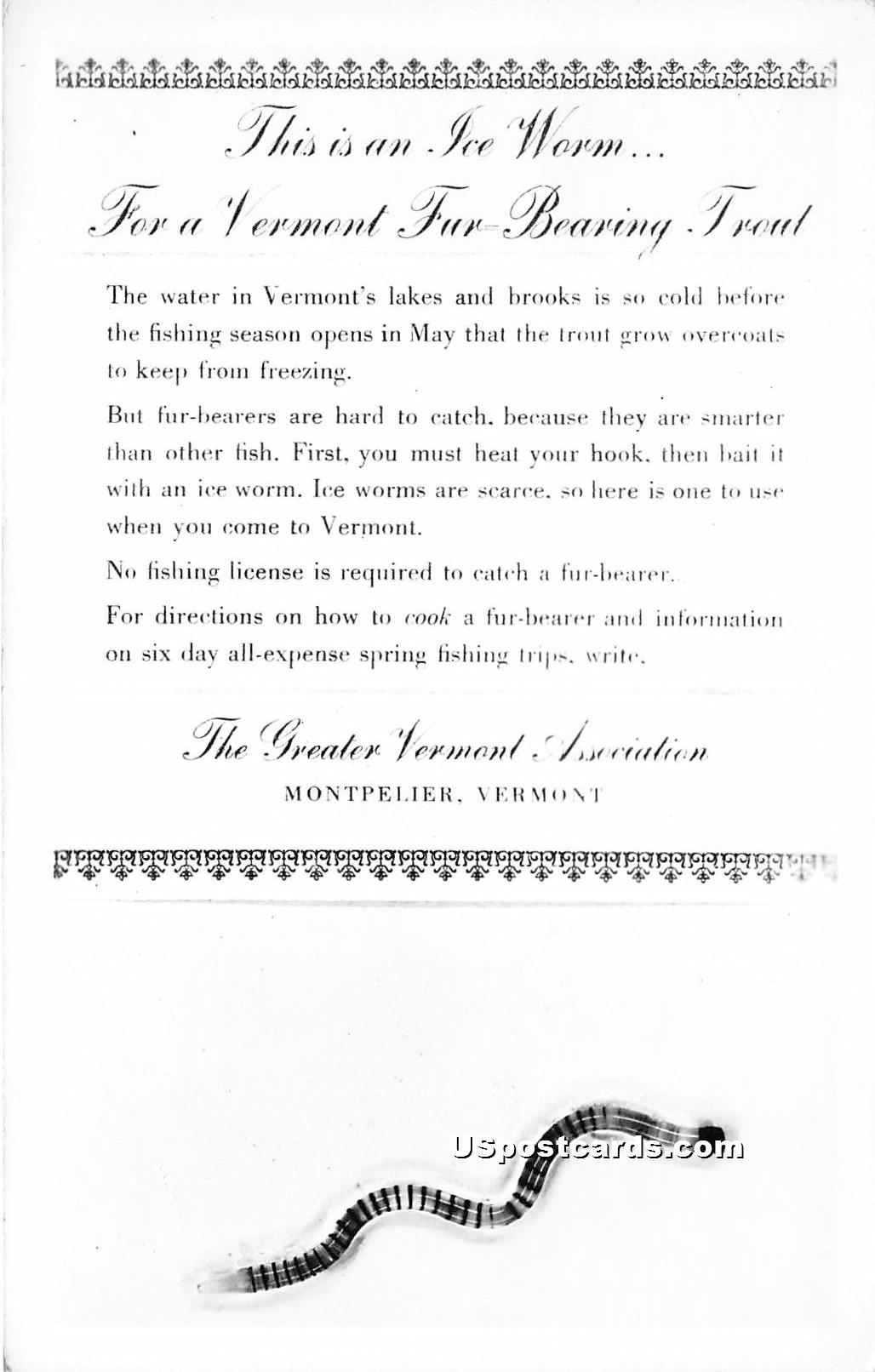Ice Worm - Montpelier, Vermont VT Postcard