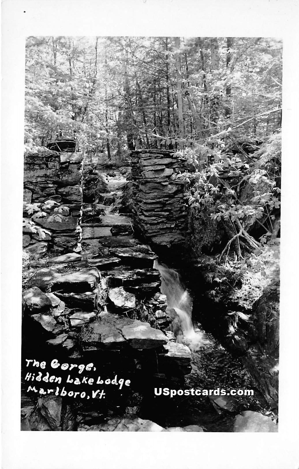 The Gorge - Marlboro, Vermont VT Postcard