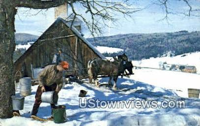 Making Maple Syrup - Misc, Vermont VT Postcard