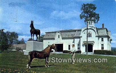 University of Vermont, Morgan Horse Farm - Weybridge Postcard