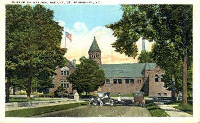 Museum of Natural History - St Johnsbury, Vermont VT Postcard