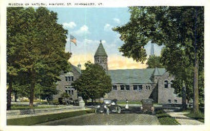 Museum of Natural History - St Johnsbury, Vermont VT Postcard