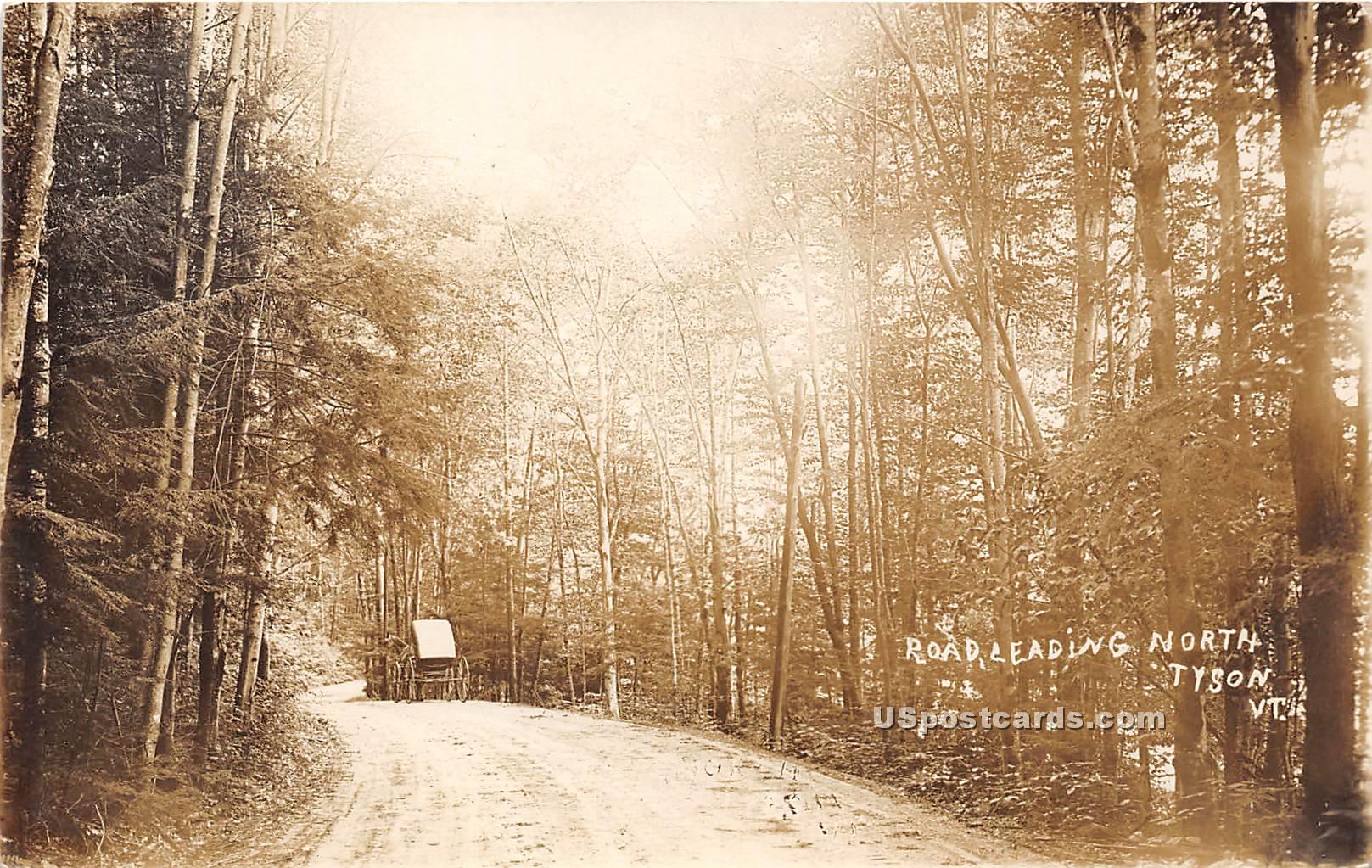 Road Leading North - Tyson, Vermont VT Postcard