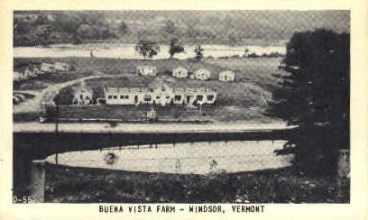 Buena Vista Farms - Windsor, Vermont VT Postcard
