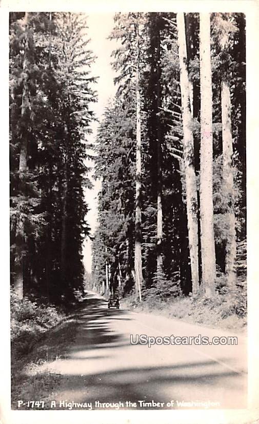 Highway Through the Timber - Columbia Highway, Washington WA Postcard