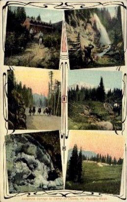Longmire Springs - Mt. Rainer National Park, Washington WA Postcard