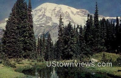 Fairy pool - Mt Rainier, Washington WA Postcard